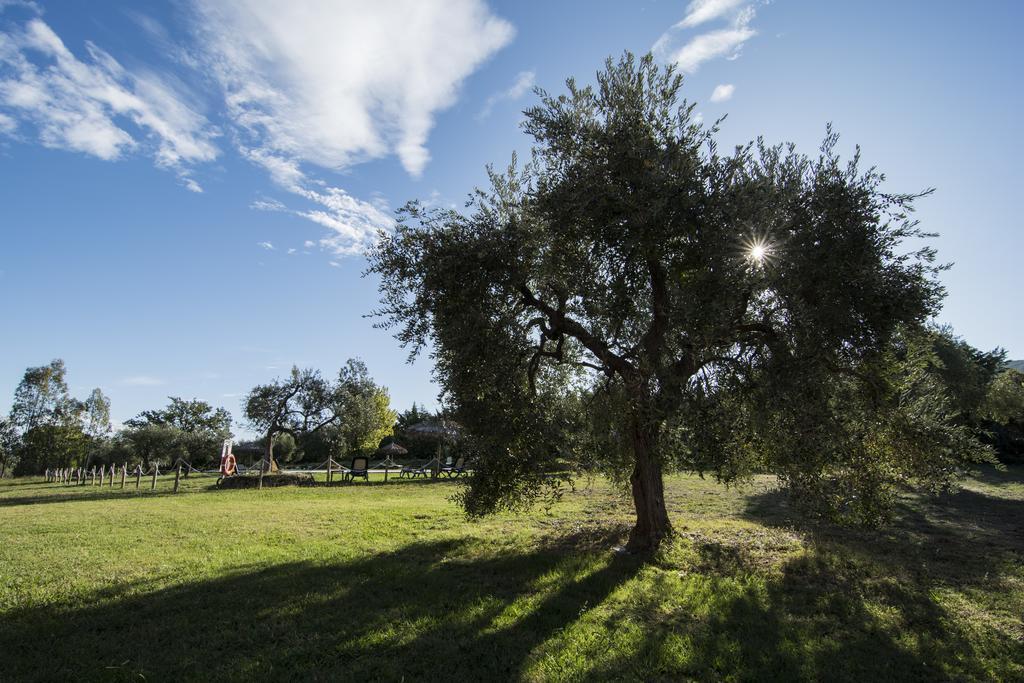 Tenuta Col Di Sasso スカルリーノ エクステリア 写真