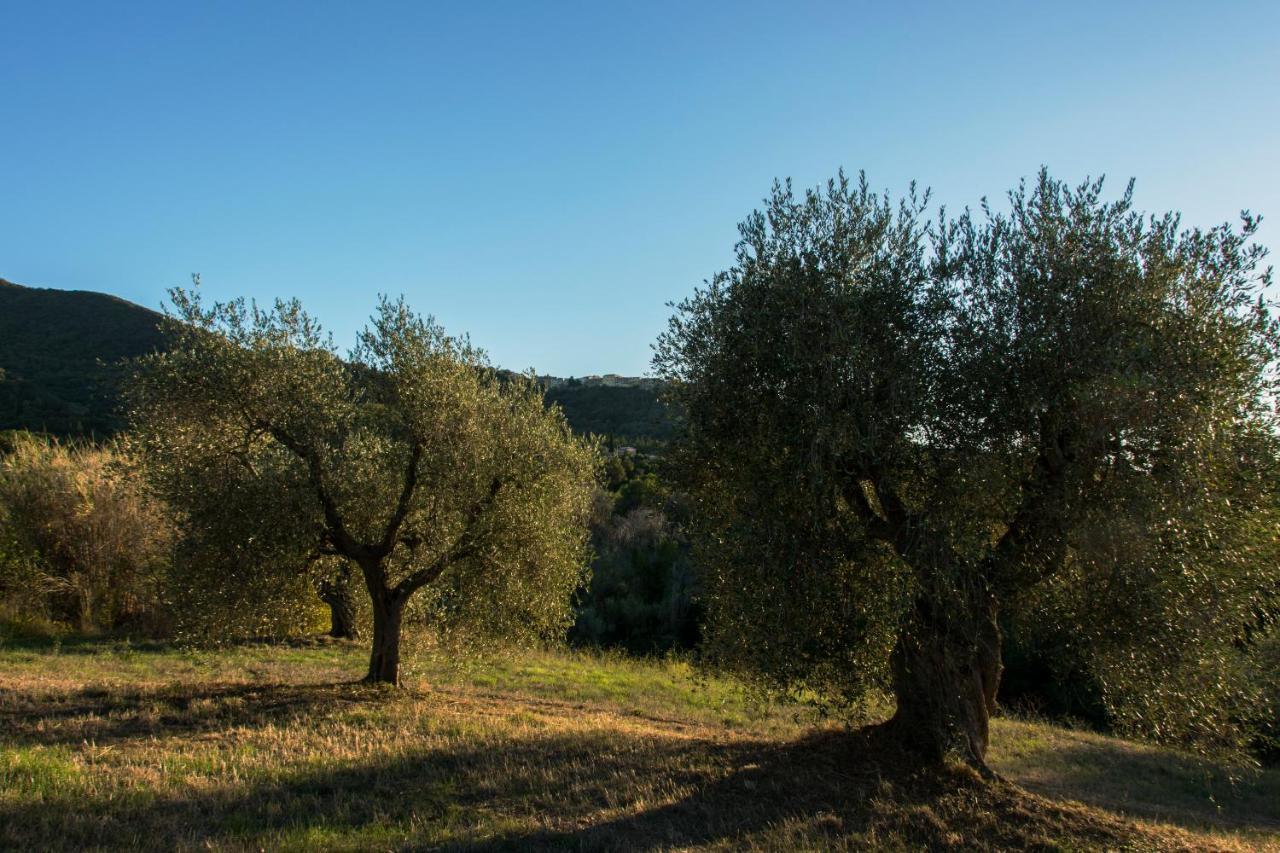 Tenuta Col Di Sasso スカルリーノ エクステリア 写真