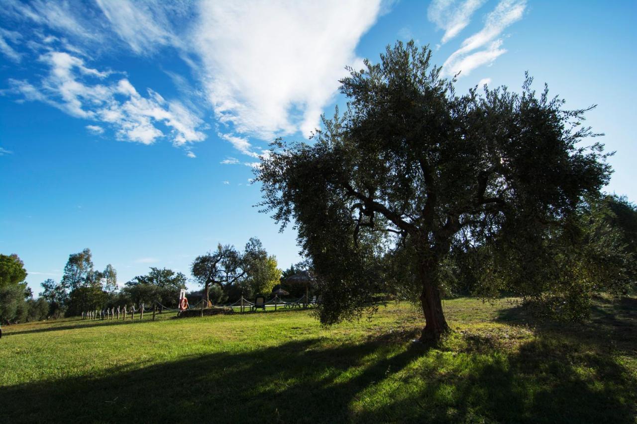 Tenuta Col Di Sasso スカルリーノ エクステリア 写真